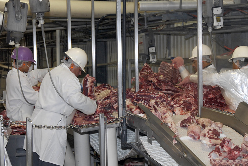 Workers processing meat in a meat packing plant.