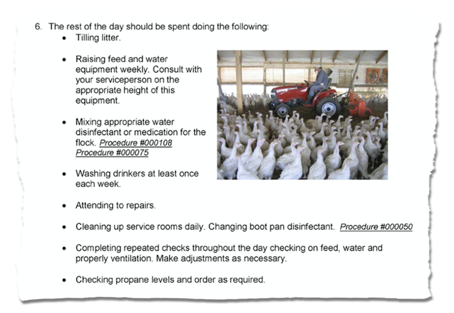 A slide detailing turkey production procedures, including "mixing appropriate water disinfectant or medication for the flock." The right hand side of the slide includes a photo of a person riding a tractor among a significant number of turkeys in a shelter where they are raised.