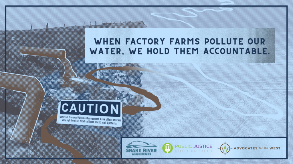 A blue graphic with distressed overlay. The graphic reads: "When factory farms pollute our water, we hold them accountable." The background is an outline of the Snake River, flowing from the top right hand corner to the bottom left. On the righthand side it is blue, and on the lefthand side it become brown as a pipeline filled with manure flows into it. A caution sign sits on the lefthand side.