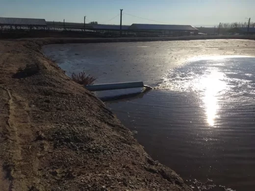 Photo of liquid waste exiting from a pipe into a massive cesspool known as a manure lagoon.