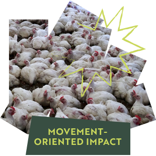 Movement-Oriented Impact