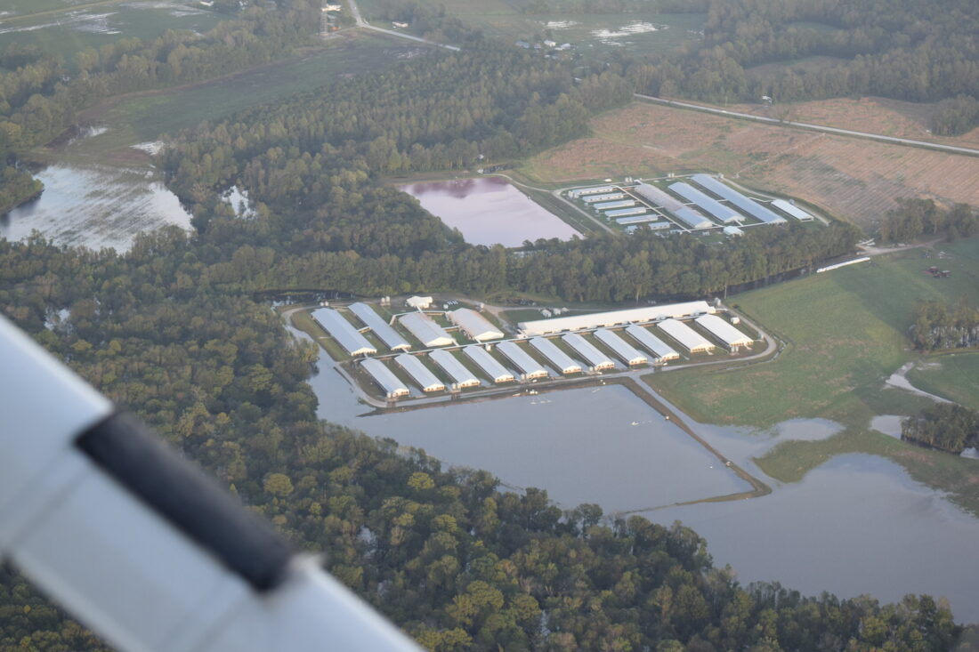 Aerial view hog barns surrounded by floodwaters. It appears a manure lagoon is inundated with flood water and has breached its boundaries