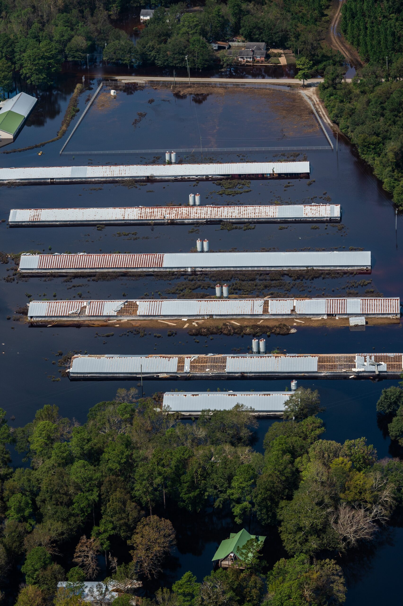 Six long barns surrounded by floodwaters and a flooded manure lagoon