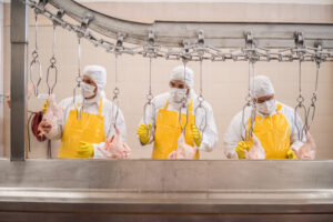 Workers on a poultry processing line