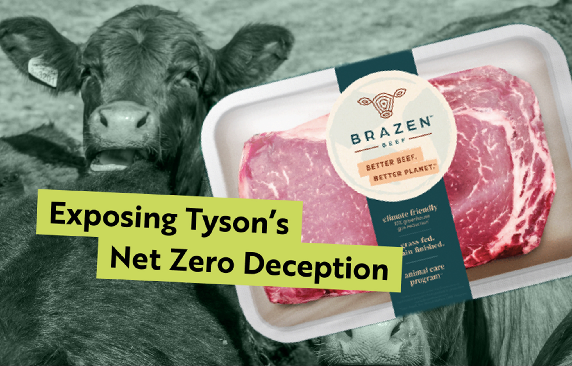 Análisis profundo: El engaño climático de Tyson