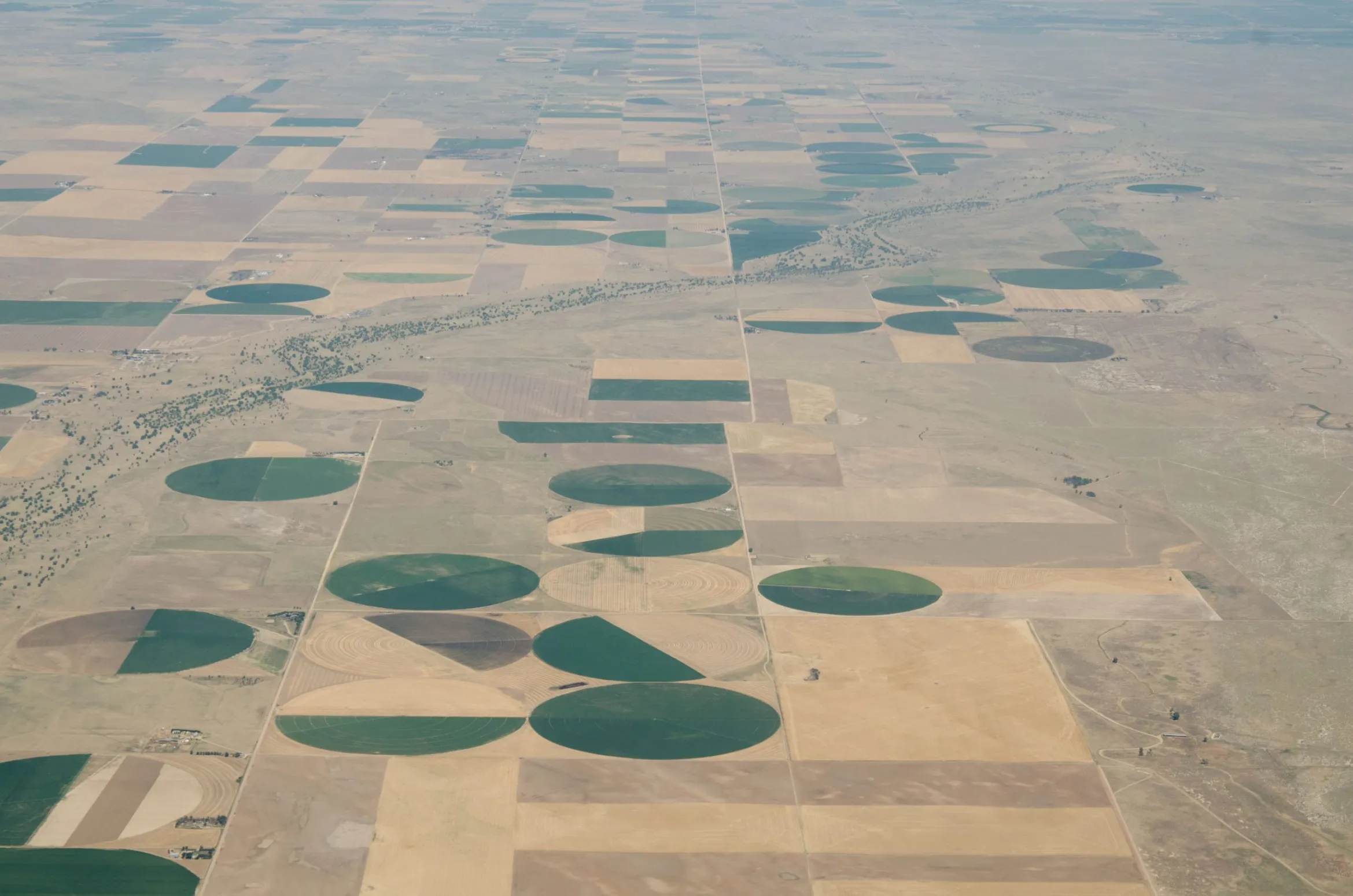Investigate Midwest: A new network of attorneys fights the abuses of industrial agriculture. First up, Colorado.