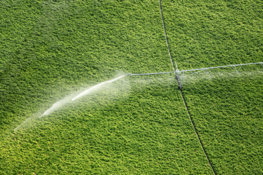 Big Ag Is Drying Up the West