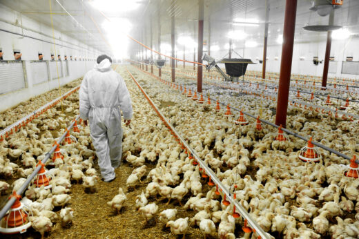 Por qué no esperamos las promesas de la agroindustria