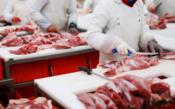 We’re standing up for Haitian meatpacking workers. Big Ag won’t.
