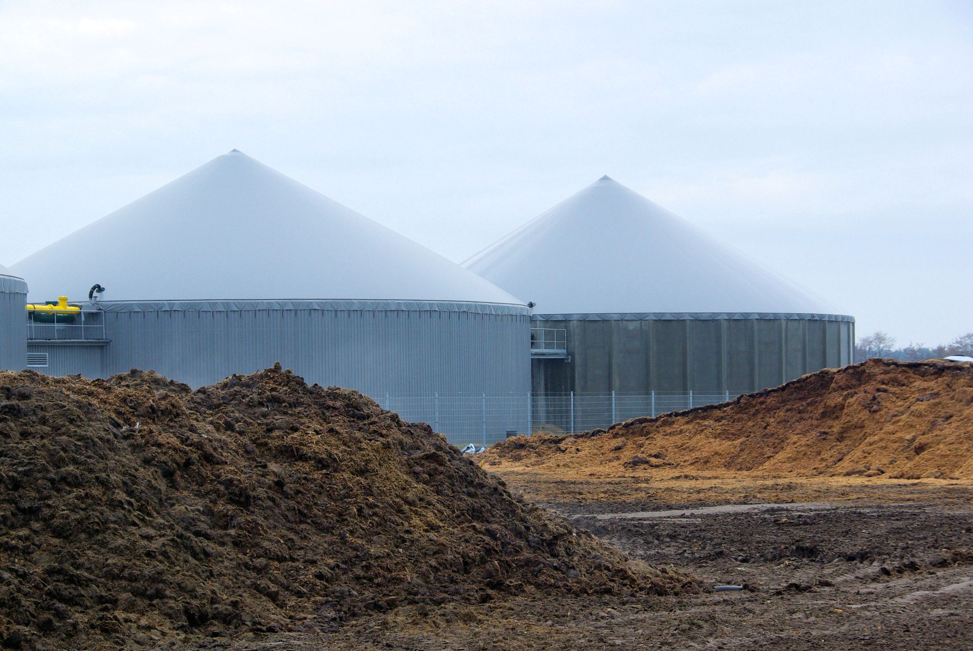 This Sh*t Stinks: Big Ag and Big Oil’s Dirty Biogas Scam
