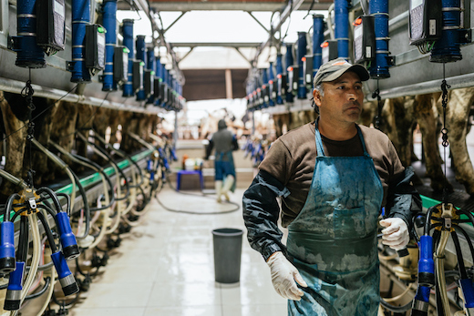 Factory Farms Are A Breeding Ground For Disease. We Deserve A Healthier Food System.