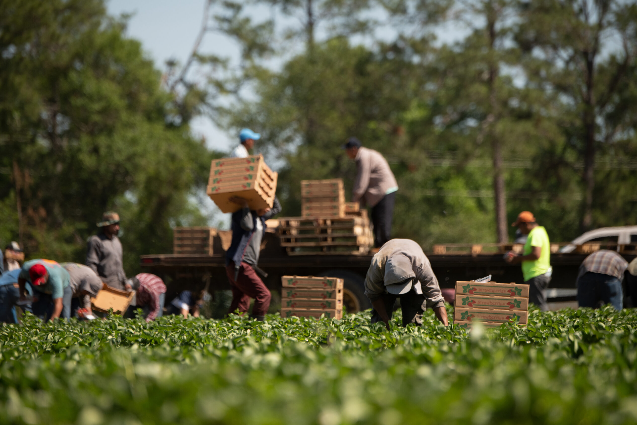Big Ag is Pushing for More Power Over the Food System Workforce. We’re Fighting Back.