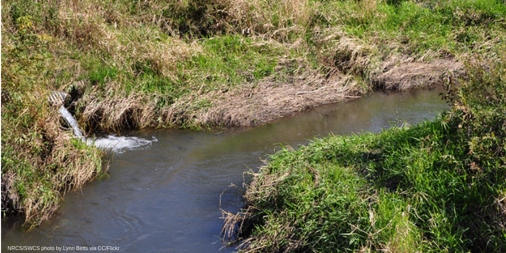 Court Will Hear Case Seeking Raccoon River Restoration and Factory Farm Moratorium