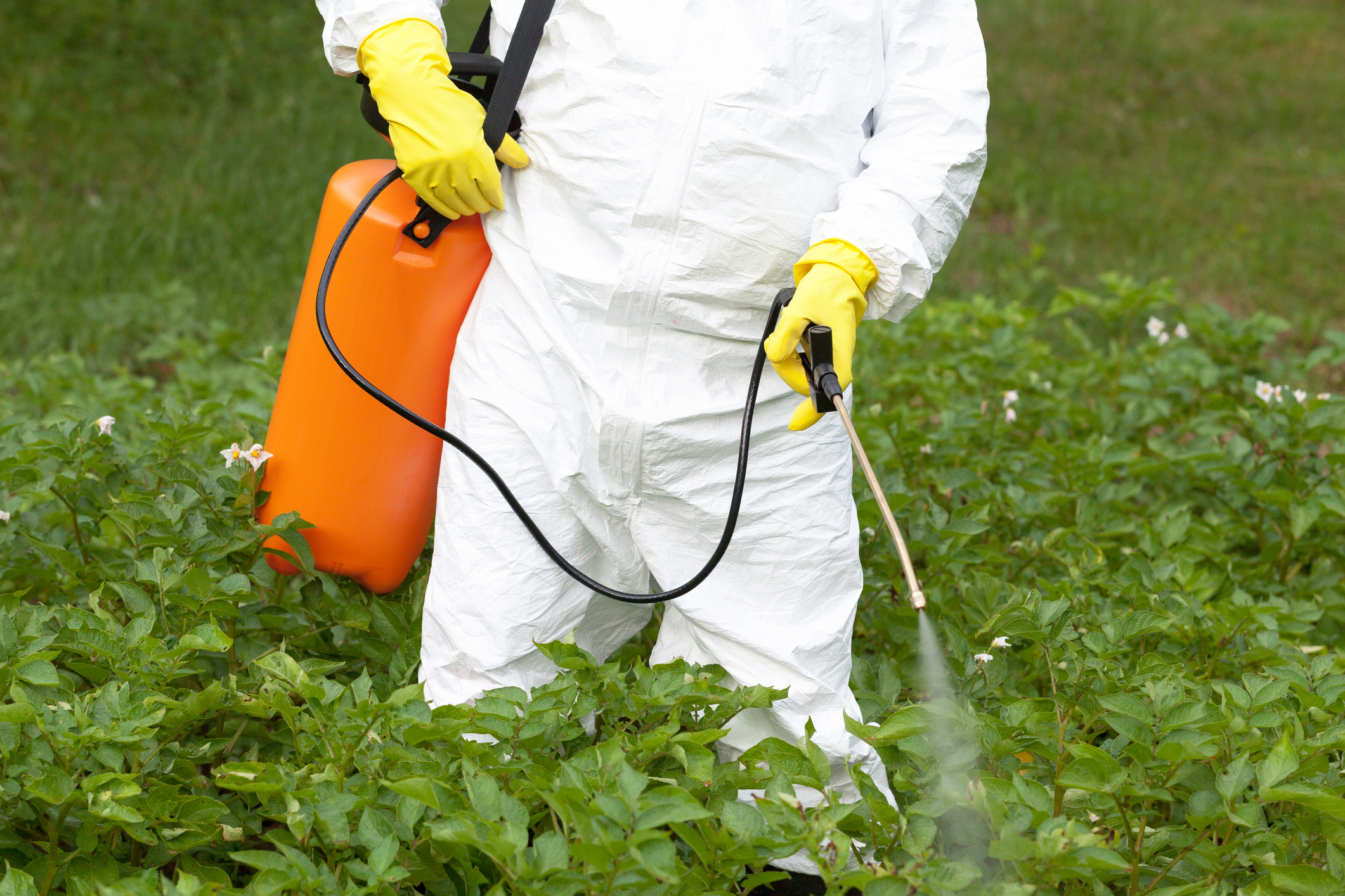 Child Farmworkers Suffer in Our Food System. Will the Supreme Court Make Things Worse?