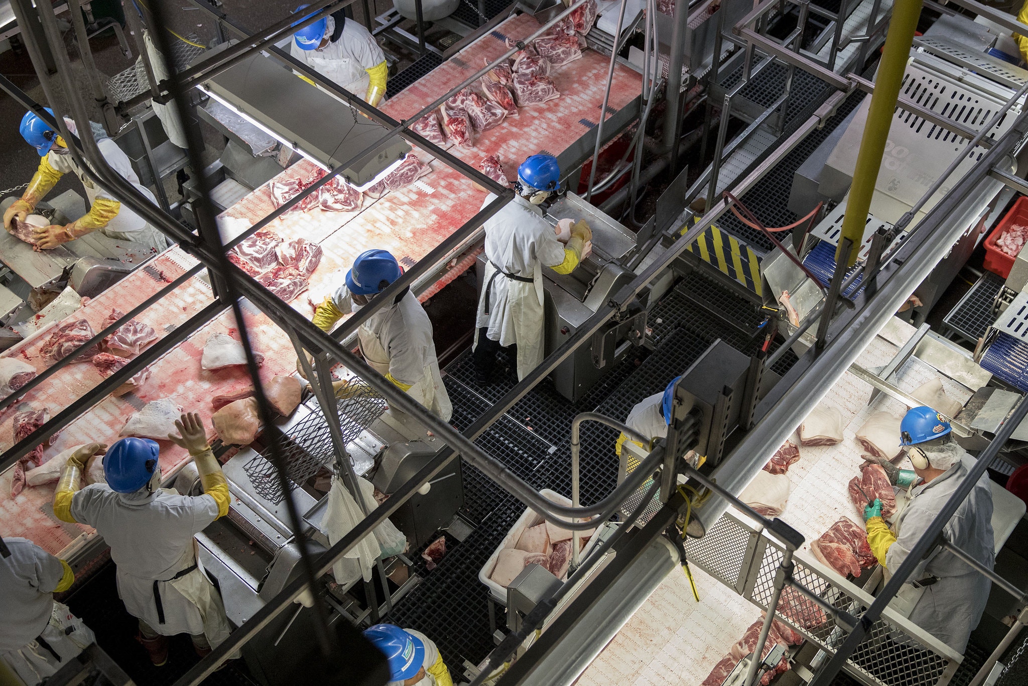 New York Times: Missouri Pork Plant Workers Say They Can’t Cover Mouths to Cough