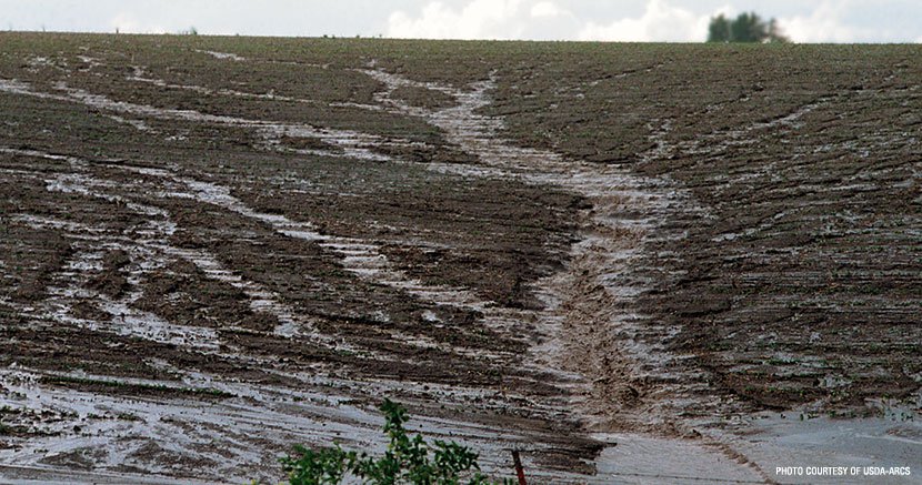 Grupos presentan un escrito ante la Corte Suprema de Iowa en una demanda por agua limpia mientras el Estado busca “cerrar” el poder judicial a los grupos ciudadanos en nombre de la “agroindustria”