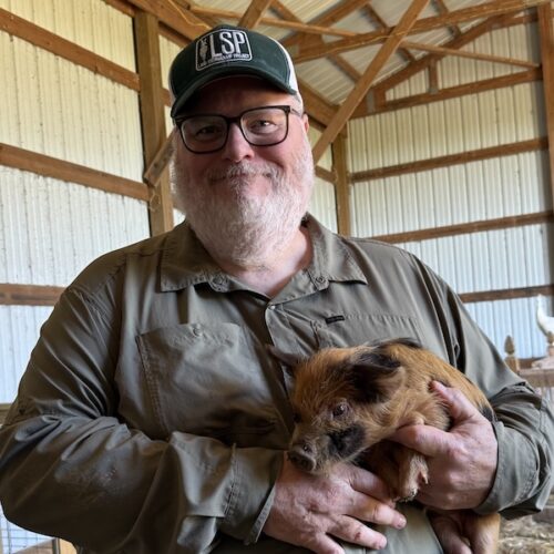 Frank James holding a pig in a barn.
